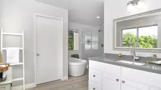 Esta es la PLANTA de BAÑO perfecta para ELIMINAR humedades