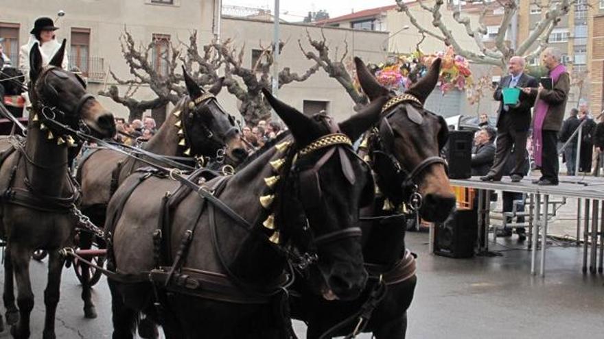 Sant Joan celebra la Festa de Sant Antoni Abat