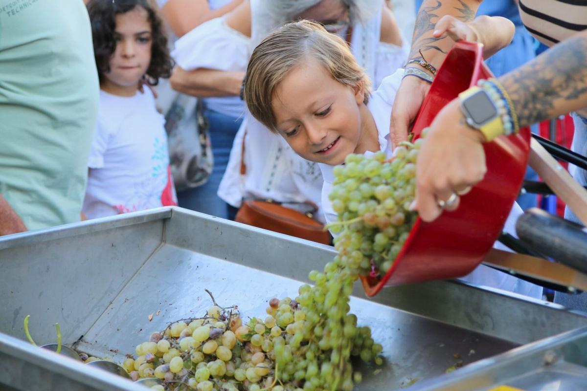 La cuarta edición de la Vendimia Infantil de la Cooperativa Agrícola La Unión reunió ayer en Montilla a decenas de niños y niñas de todas las edades Vendimia Infantil Montilla