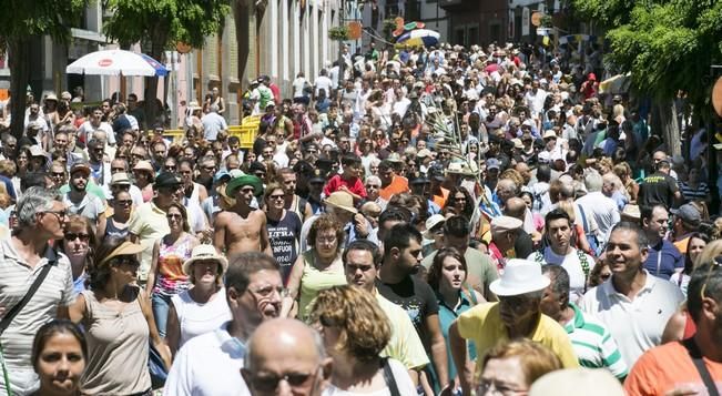 FIESTAS DEL PINO 2016