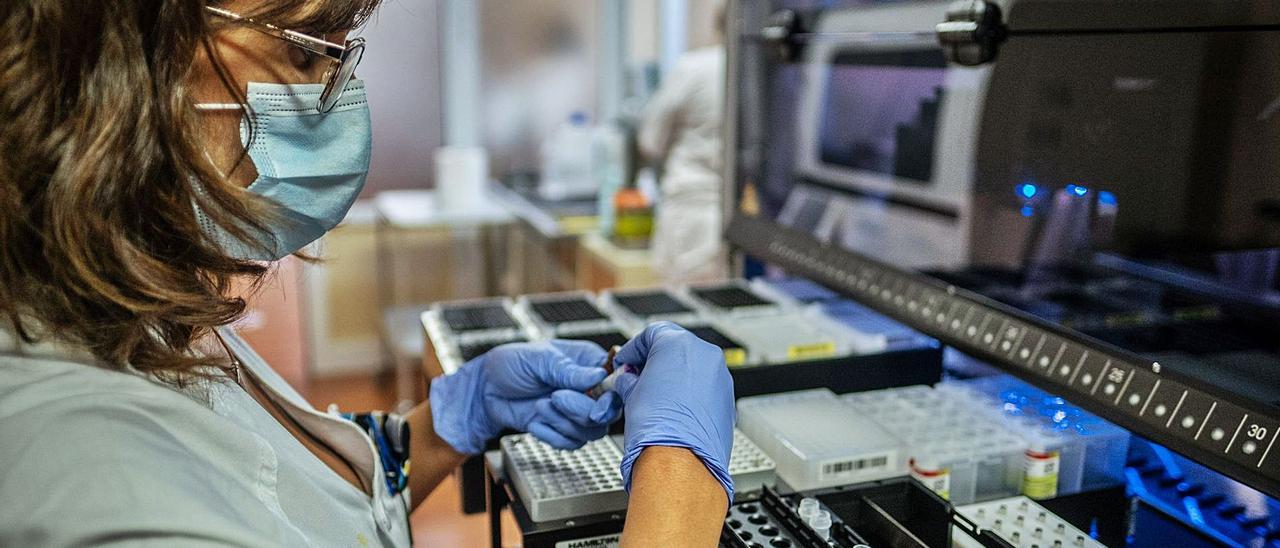 Una microbióloga introduce muestras sospechosas de coronavirus en una máquina para hacer PCR. | | ANDRÉS GUTIÉRREZ