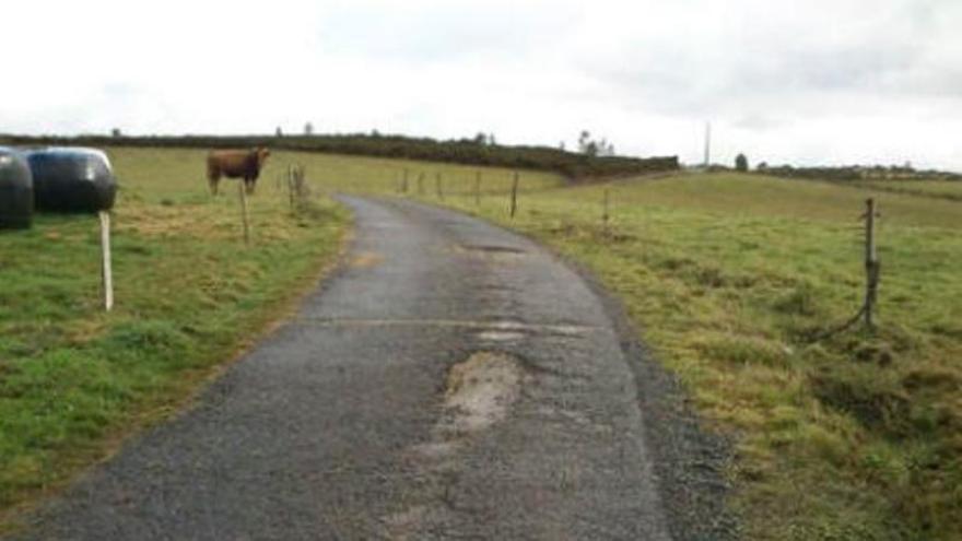 600.000 euros para mejorar el acceso a los pastos de Xestoselo, Nogueiróu y Padraira, en Grandas de Salime