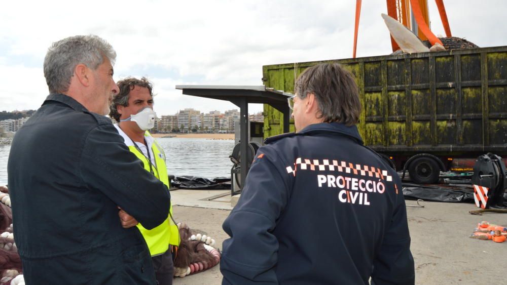 Extracció de la balena morta a Blanes