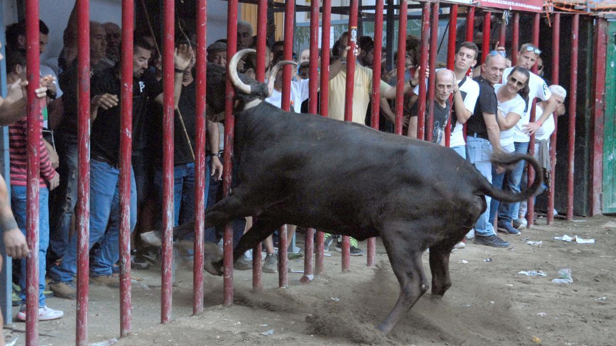 Altura tendrá nuevos festejos taurinos en julio.