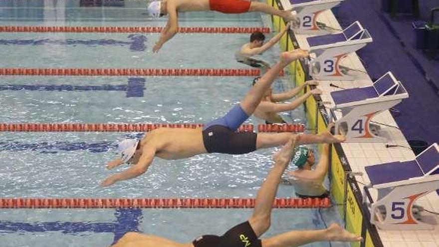 Los nadadores se lanzan a la piscina en el inicio de una prueba.