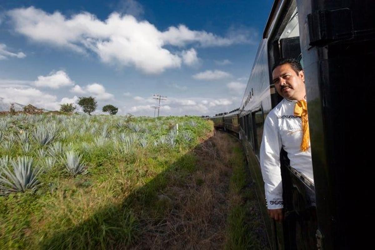 El tren José Cuervo Express a través de los campos de agave.