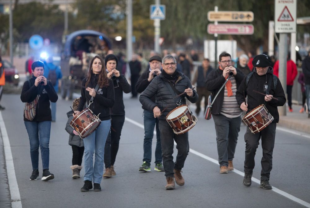 Sant Antoni arranca en Sagunt con la tradicional Plantà del Pi