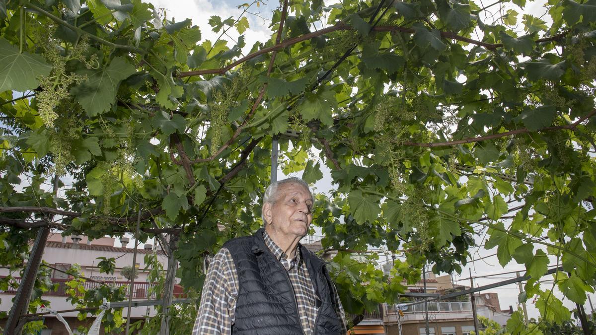 El huerto urbano del centenario Joan Carulla