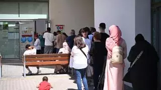 Nuevo giro con la regularización de migrantes en Elche: las OMAC ya no gestionan físicamente las solicitudes