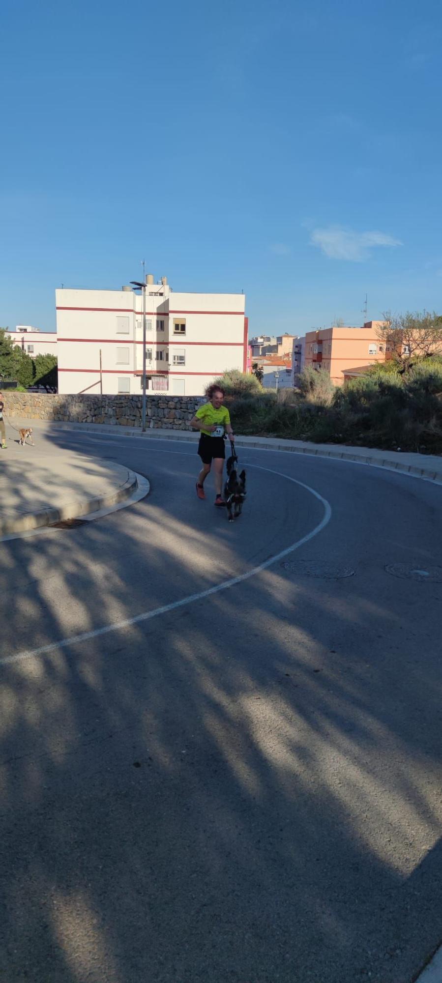 El emotivo Canicross de la falla Sud-oest de la Vall, en imágenes