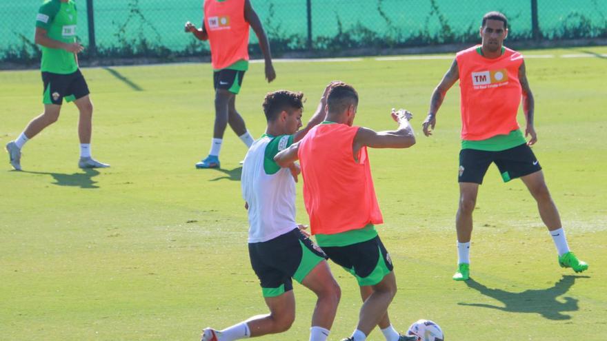 El Elche ya llevó parte de su pretemporada a Algorfa el pasado verano. | TONY SEVILLA