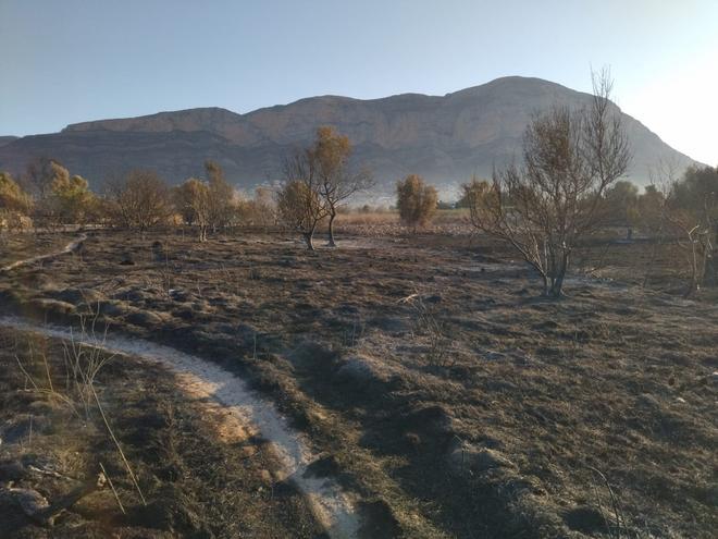 El valle agrícola del Montgó, reducido a cenizas (imágenes)