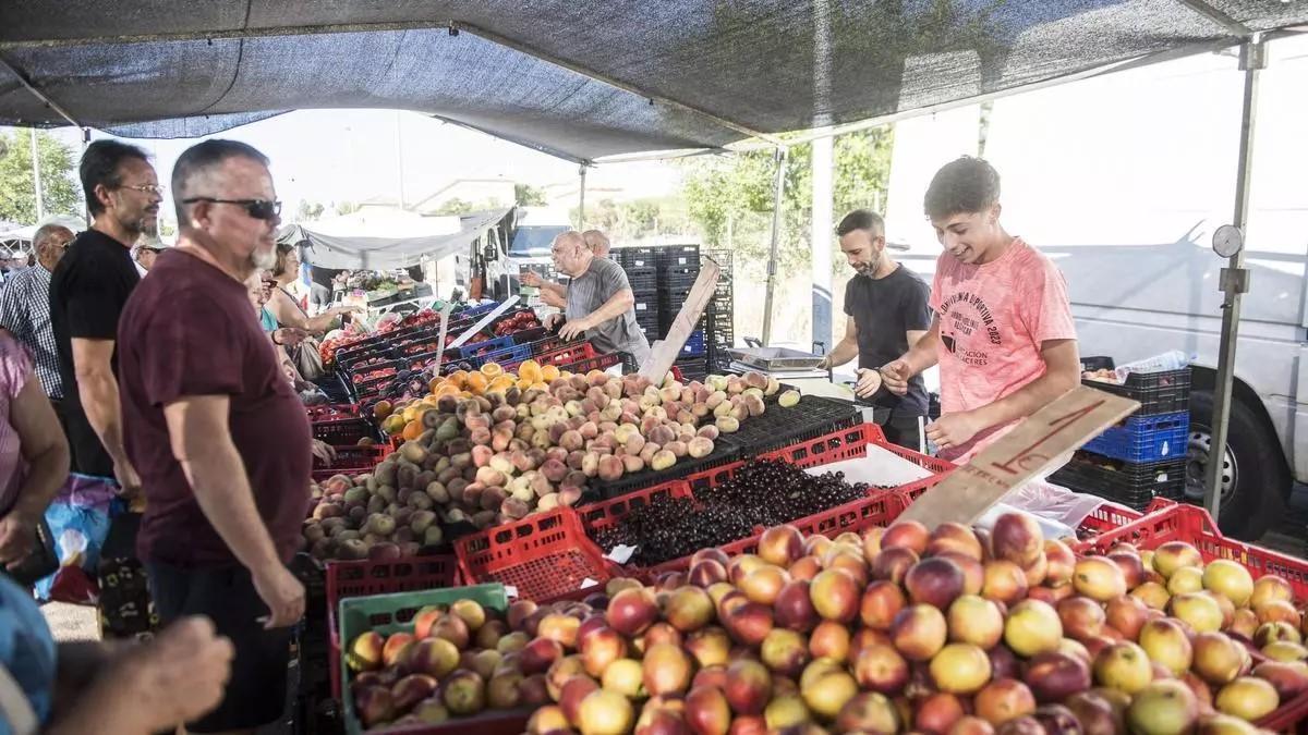 Puestos de fruta y verdura en el mercado franco de Cáceres.