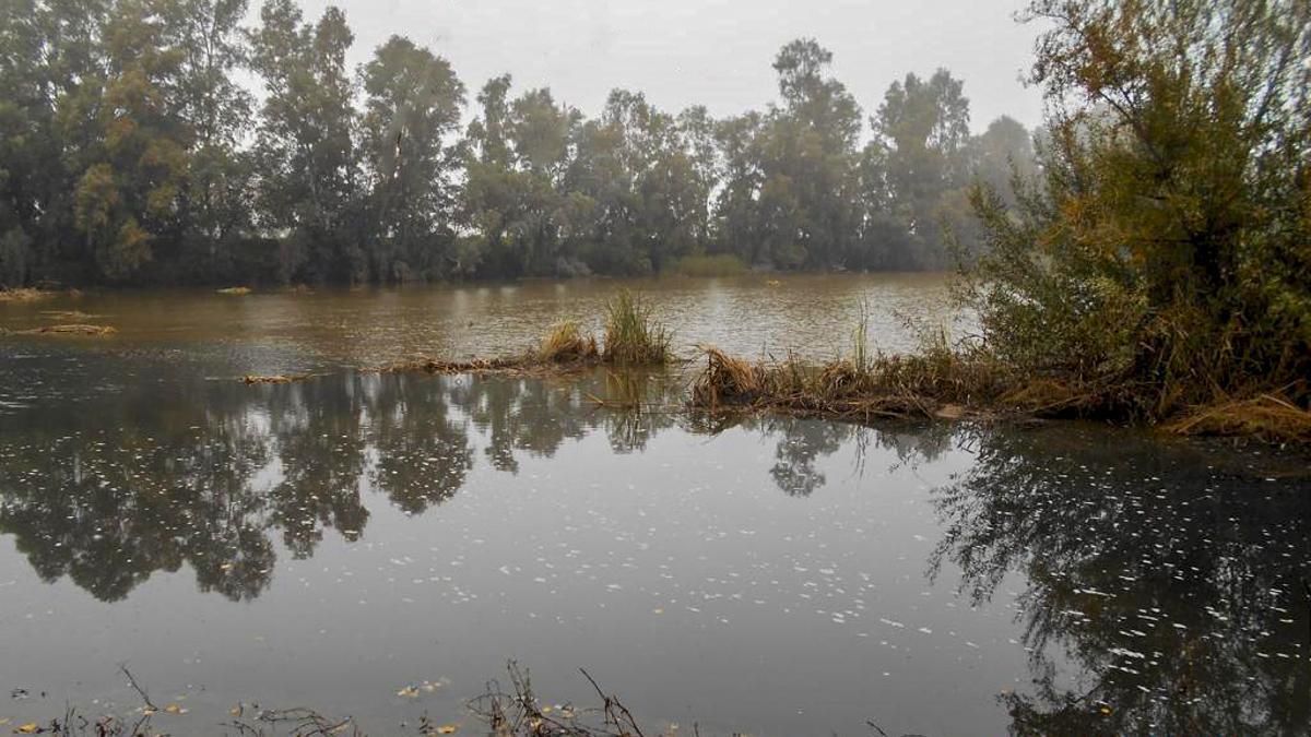 El agua contaminada en un tramo del arroyo.