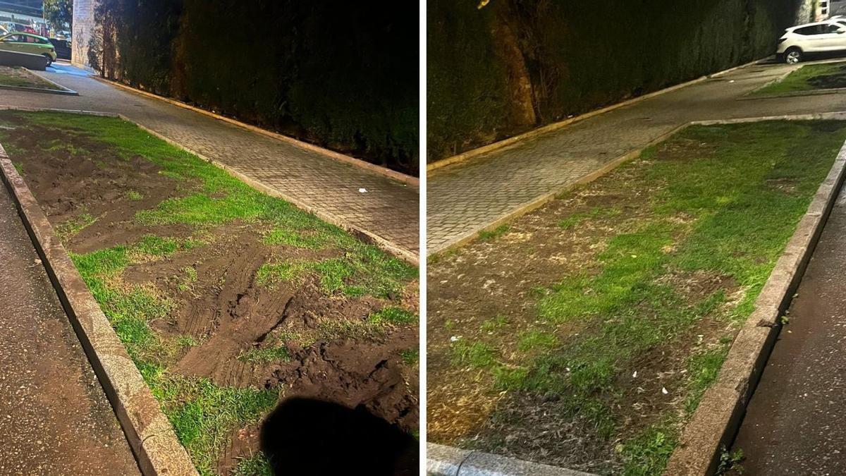 Jardineras afectadas en el callejón de Yáñez tras aparcar varios vehículos en ellas