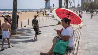 Casi 12.000 personas han muerto este verano en España a causa del calor