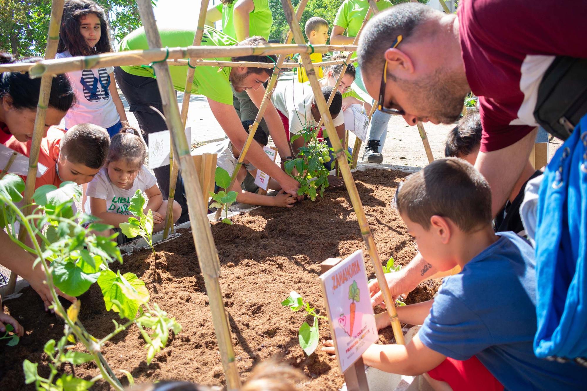 Primera Feria de la Educación y la Vecindad