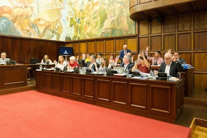 Pleno del Cabildo de Gran Canaria (30/06/2017)