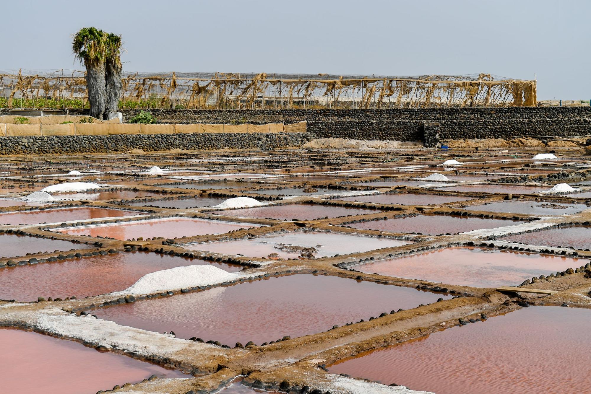 Salinas de Vargas