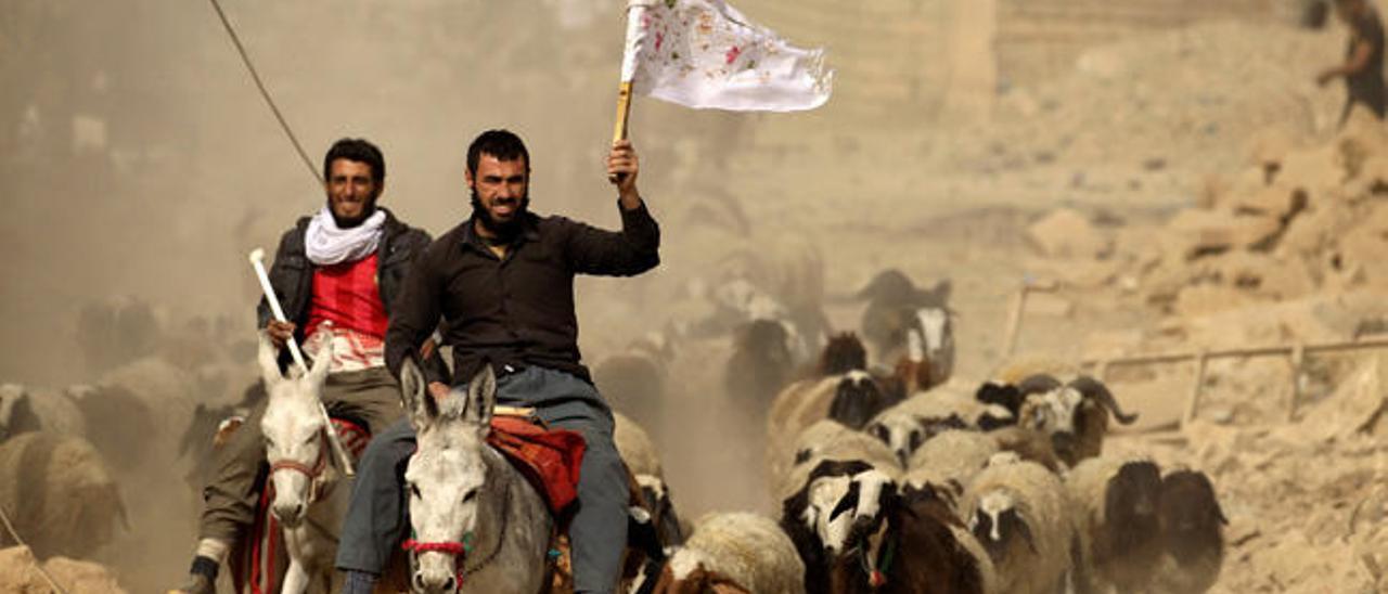 Un hombre ondea una bandera blanca en Bazwaia (Irak)