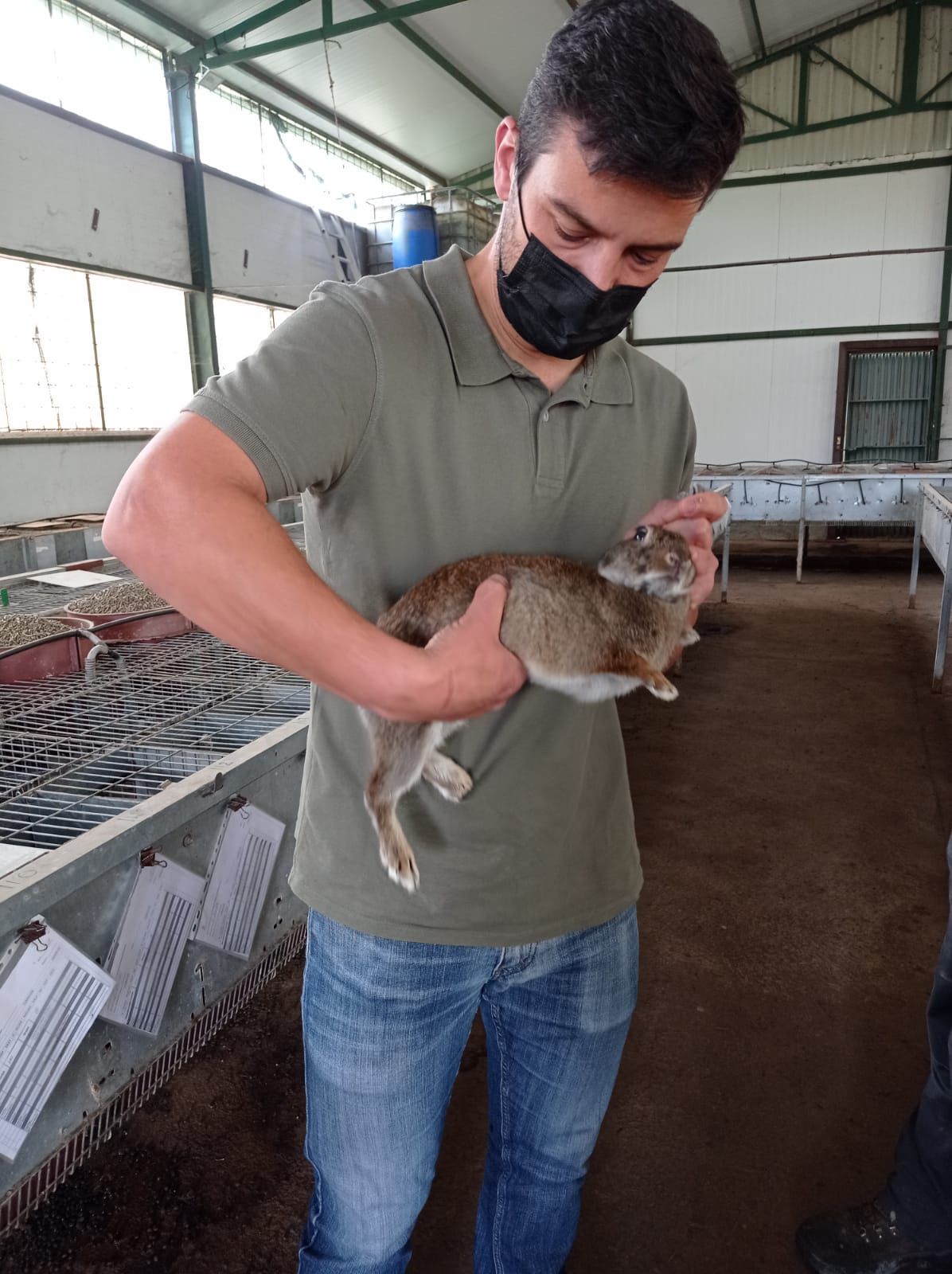 Uno de los investigadores sostiene un conejo.