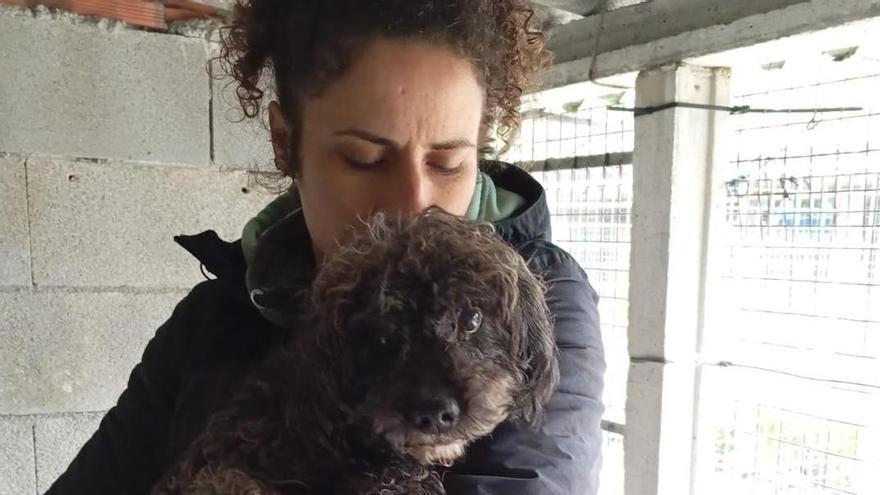 Una voluntaria con el perro recogido esta semana en Beluso por parte de la Protectora de Animais do Morrazo.