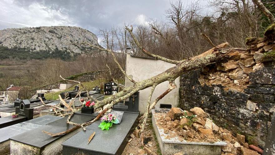 Destrozados el muro y varias tumbas del cementerio de Arenas de Cabrales: &quot;Es un desastre&quot;