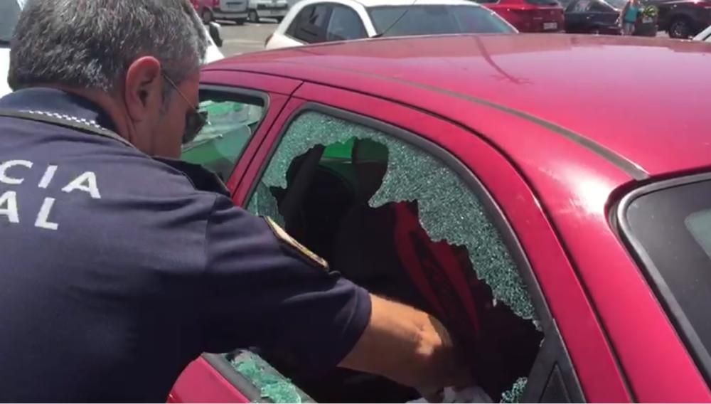 El perro rescatado en un coche estacionado al sol.