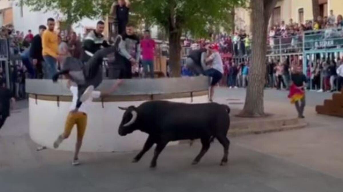 Aparatosa cogida en los bous al carrer de Xàbia.