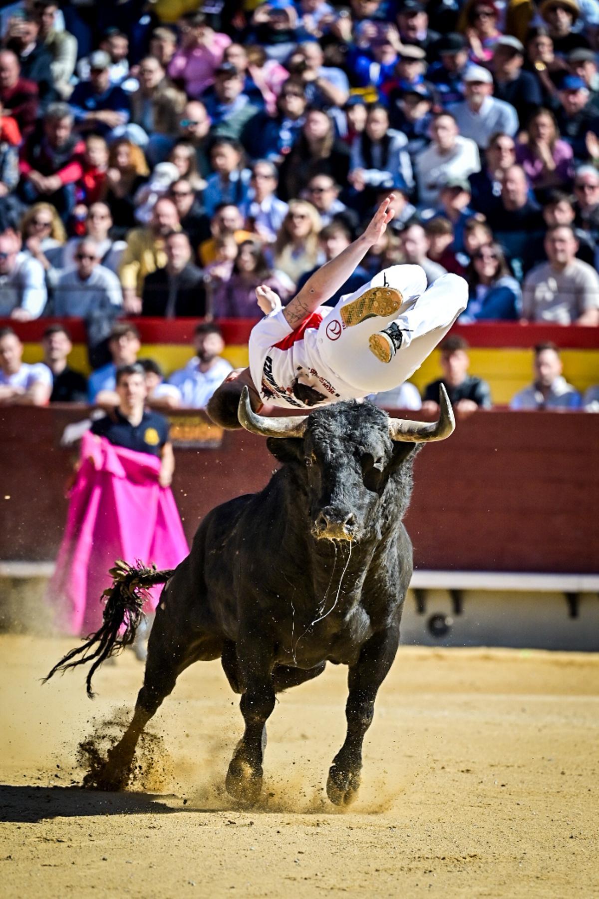 Concurso recortadores