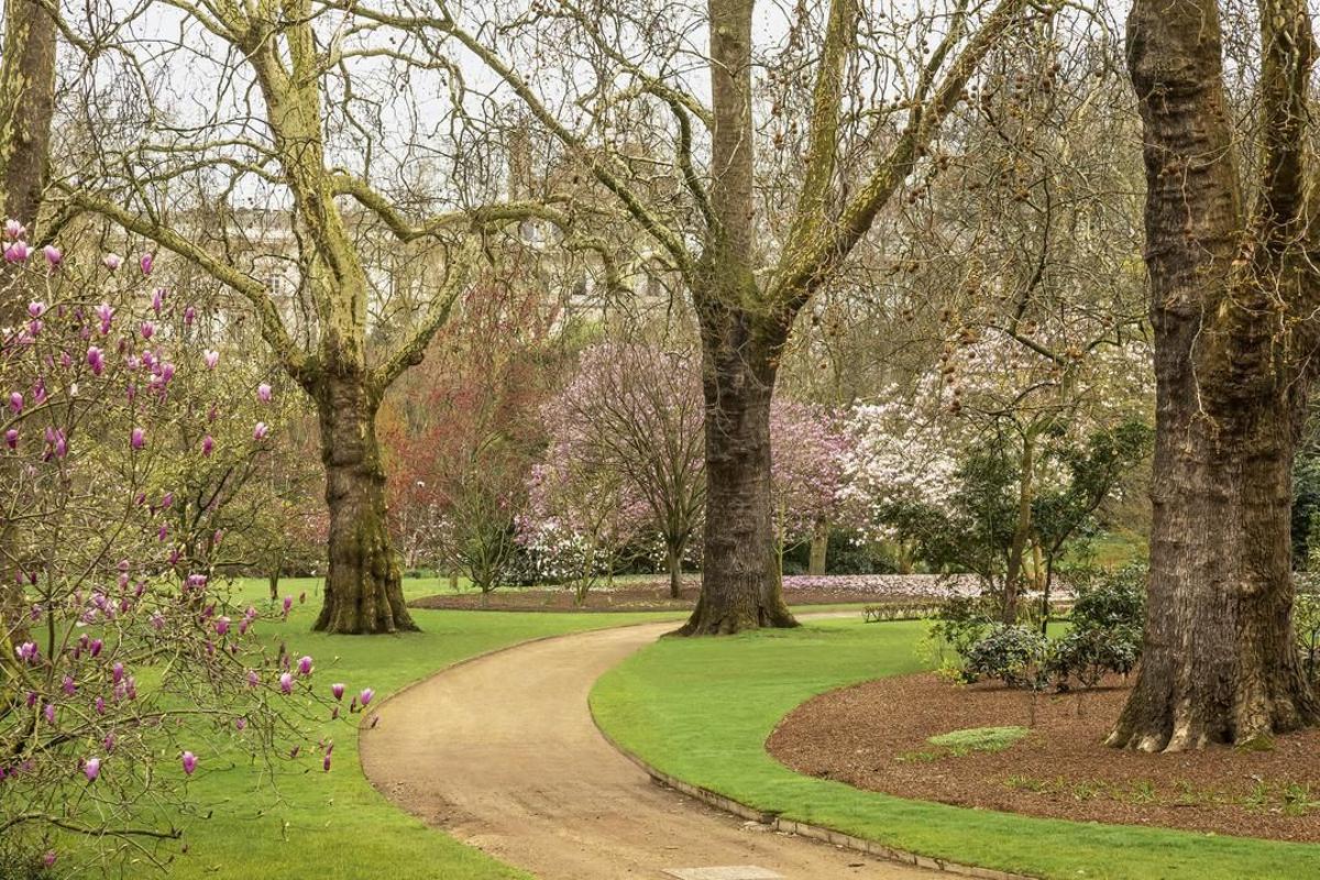 Jardín palacio de Buckingham