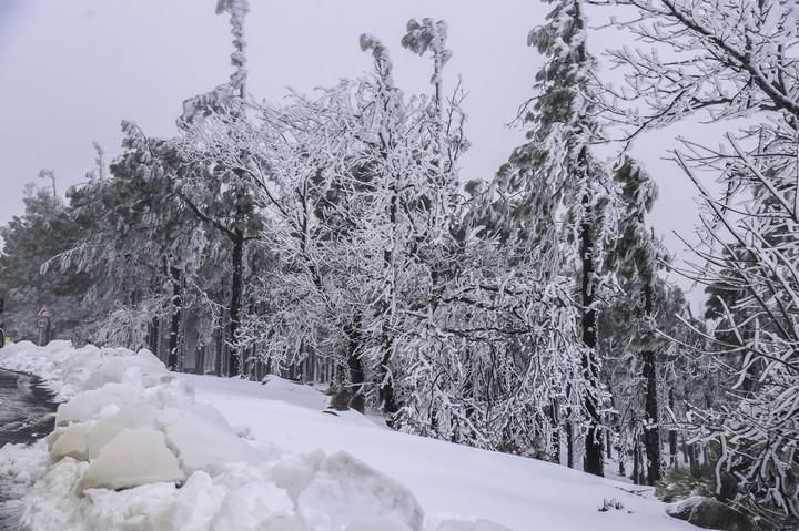 NIEVE EN LA CUMBRE