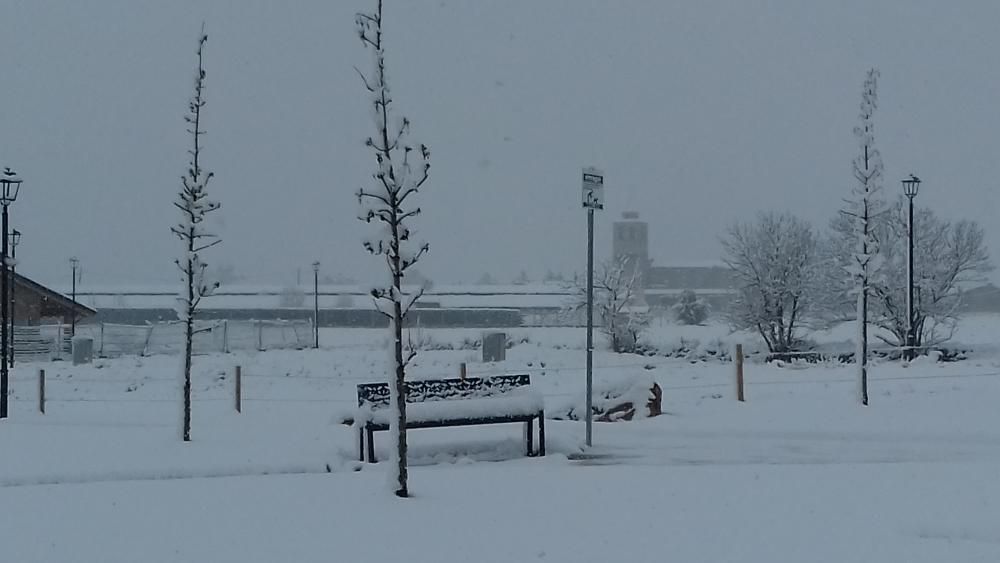 Nevades a la Cerdanya i el Berguedà