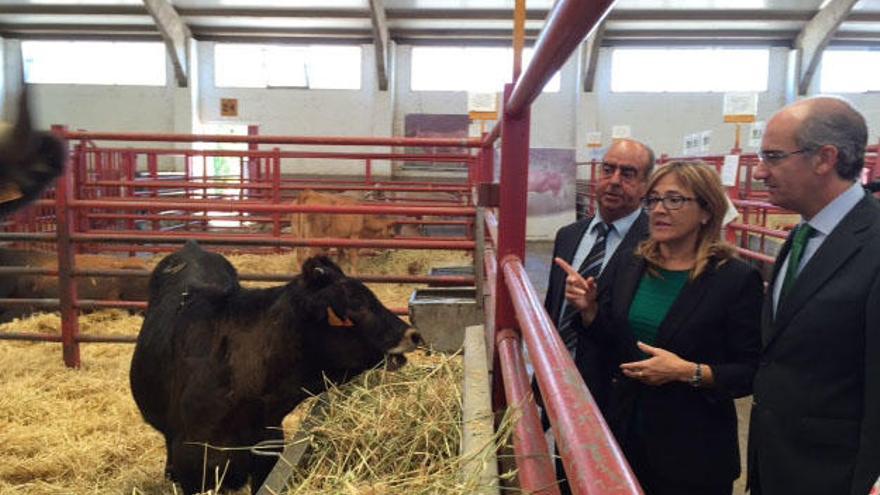 Martín Pozo, en la feria de Salamanca