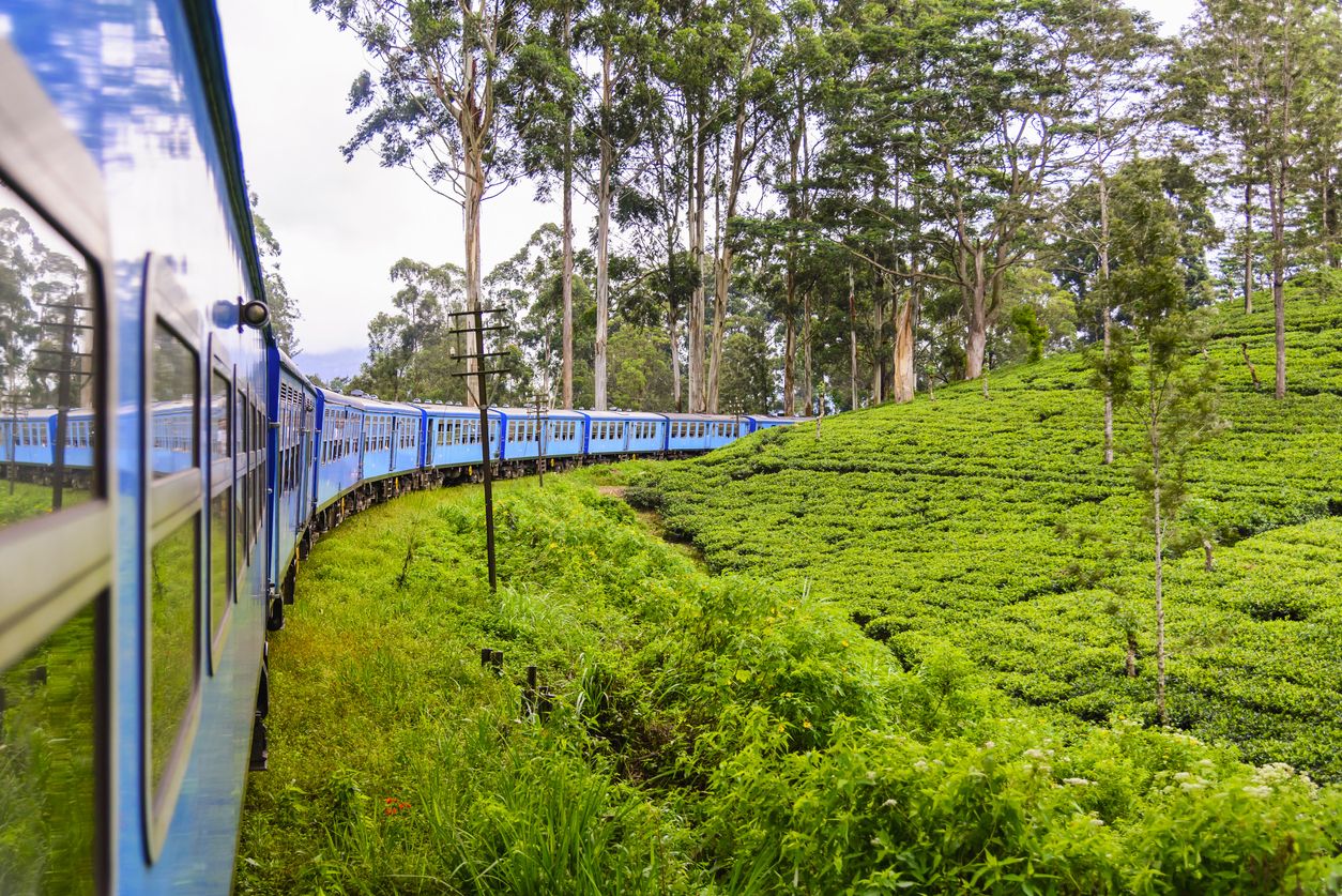 Plantación de té en el distrito de Nuwara Eliya, Sri Lanka.