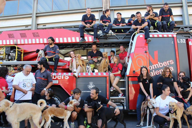 Los Bomberos de Valencia, con la adopción de mascotas