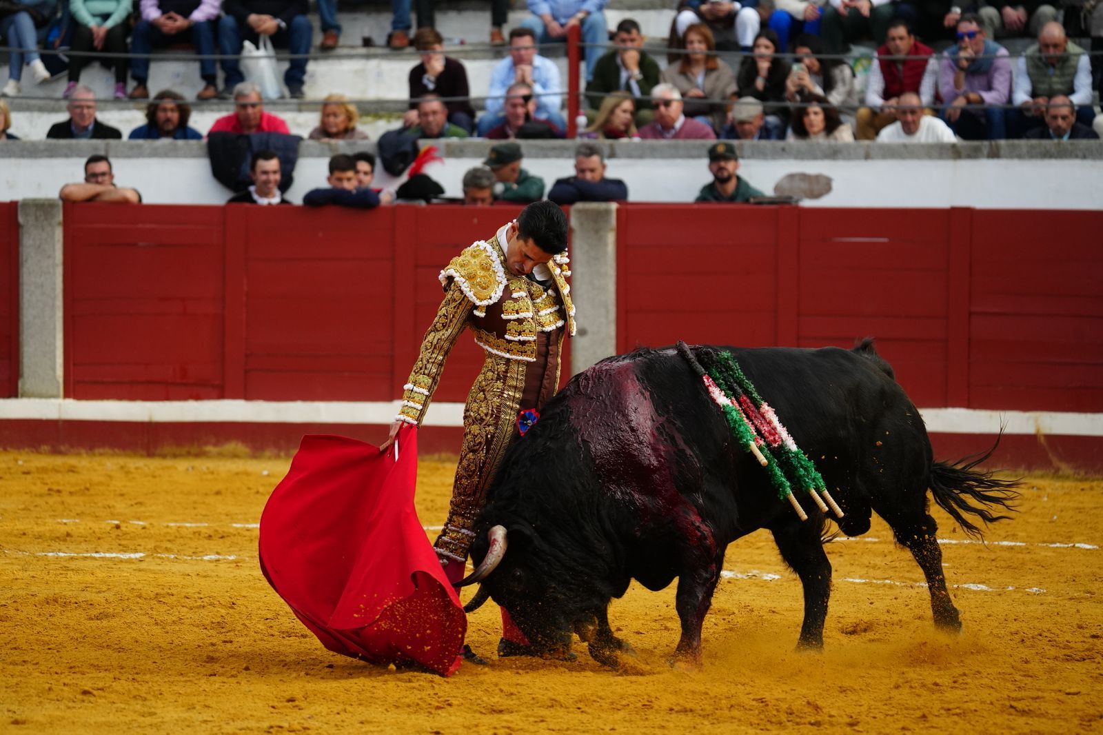El festejo taurino de Pozoblanco, en imágenes