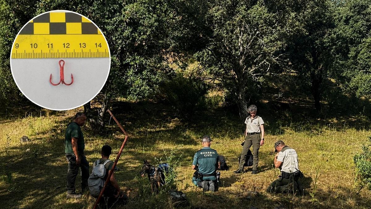 Agentes de Medio Ambiente y de la Guardia Civil recogen pruebas y hacen fotos de las trampas para depredadores en Villaharta, y en el círculo, uno de los anzuelo empleados