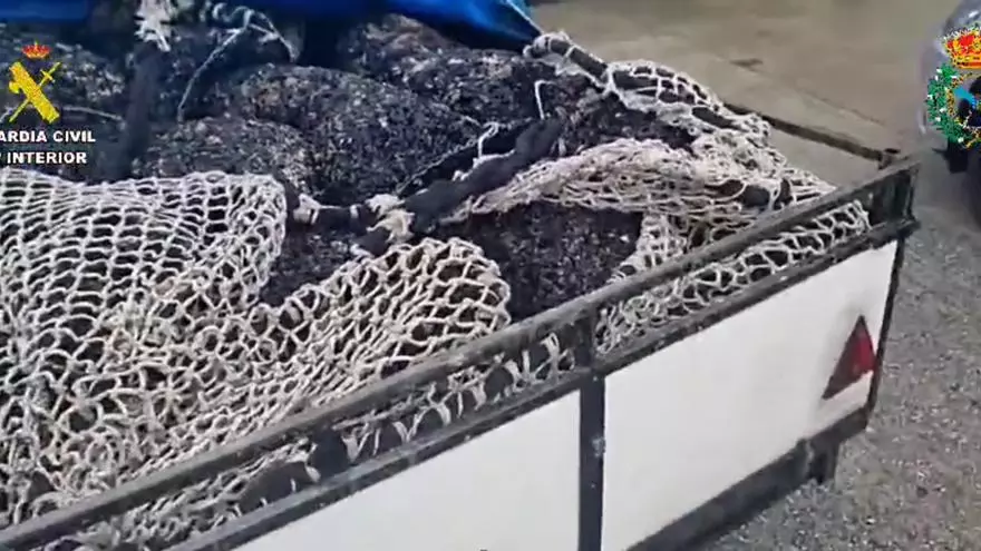 La Guardia Civil intercepta en Carnota más de mil kilos de mejilla