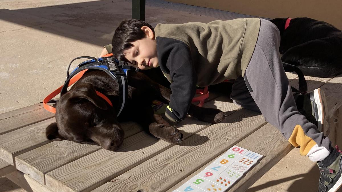 Un niño, con una de las perras del programa