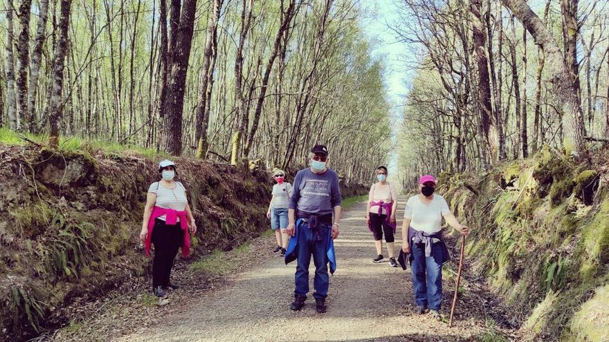 Un grupo de vecinos de Cea, recorriendo la ruta de Silvaboa, una de las tres recién señalizadas.  // I. O.