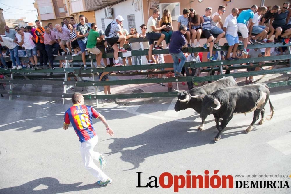 Segundo encierro de Calasparra