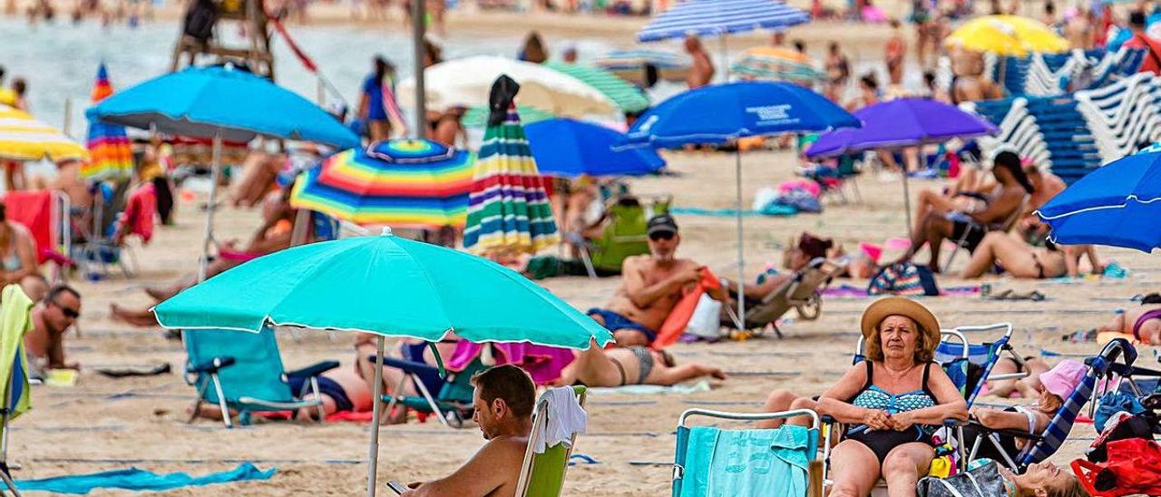 El tiempo no fallará este verano para que se llenen las playas. Levante, Benidorm. | DAVID REVENGA