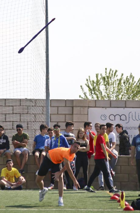 Más de 1.300 estudiantes de las comarcas de la Vega Baja y el Baix Vinalopó participan en la X edición de las Olimpiadas Clásicas.