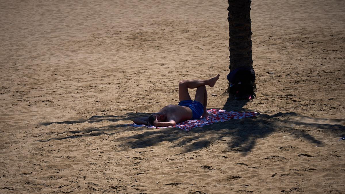 CALOR EXTREMO | El calor extremo actual no es nada comparado con lo que nos espera hasta 2030, alerta la ONU