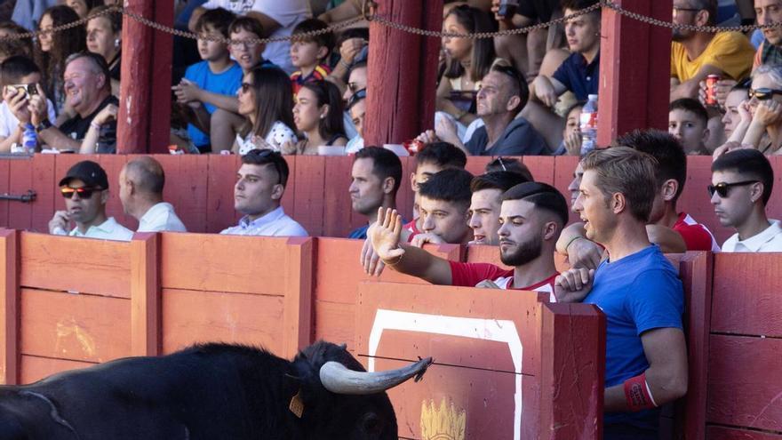 GALERÍA Concurso de cortes de las Ferias y Fiestas de San Agustín, Toro 2026