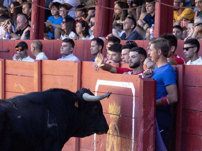 GALERÍA Concurso de cortes de las Ferias y Fiestas de San Agustín, Toro 2026