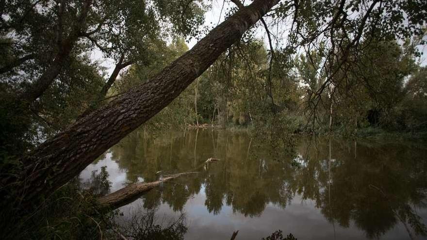 Zona del río en la que está prevista la instalación de una piscina.