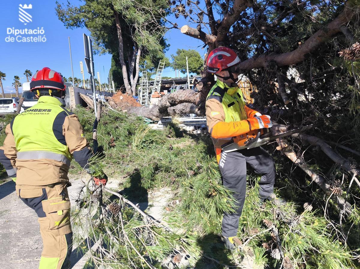 Bomberos retirando ramas caídas por el viento. Bomberos retirando ramas caídas por el viento.