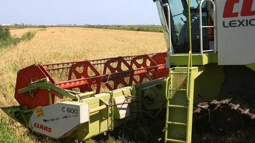 La Junta de Extremadura subvencionará las pólizas de seguros agrarios